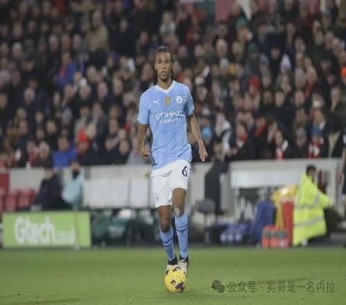 英超荣耀再,胜率高达七,布莱顿战术,世界杯外围,世界杯投注,2026世界杯,赔率分析,赛事预测