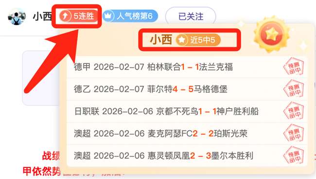 猛龙对鹈鹕,比赛分析,大乐透专家,世界杯外围,世界杯投注,2026世界杯,赔率分析,赛事预测